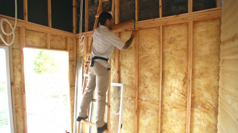 Best Radiant Barrier Insulation  in Traverse City, MI